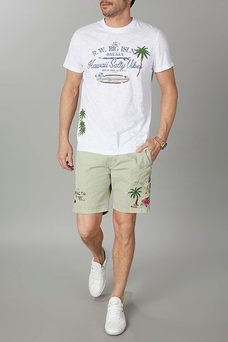 CHINO COTTON SHORTS GREEN 2