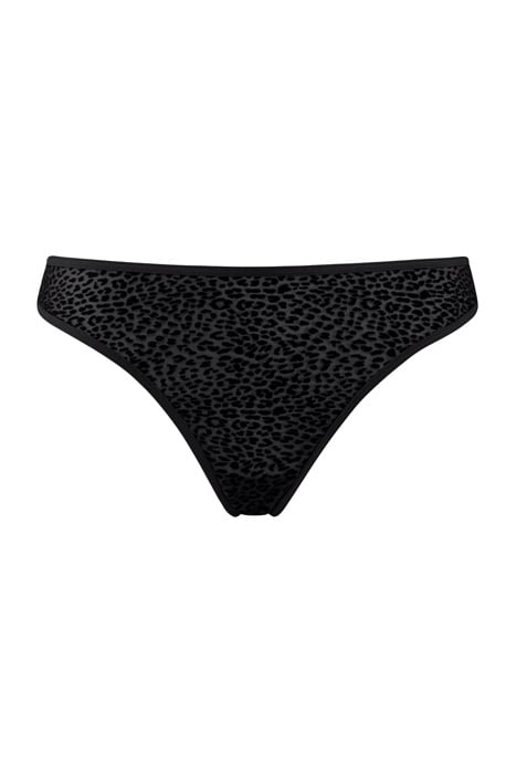 FELINE JAZZ. BLACK 1