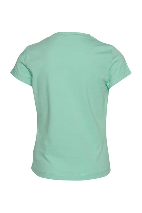 BASIC CREWNECK T-S SS GREEN 2