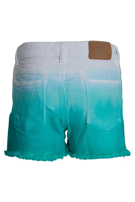 RG20S-O4009_A-000_MI GREEN 2