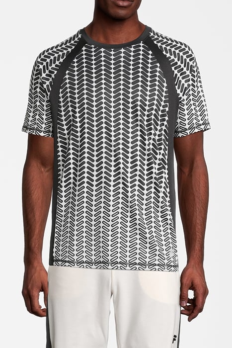 RADVILLE RAGLAN TEE EGRET FADE AOP 2