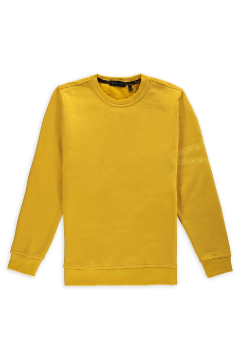 PACT CREWNECK 2.0 BUMBLEBEE 1