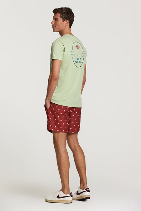 MEN TEE TULUM PALM FADED MINT GREEN 4