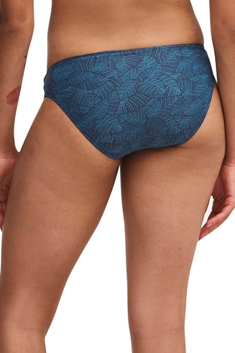 SW BO. BRIEF BLUE PLAMS 2