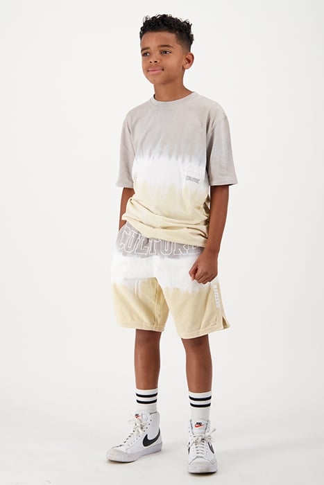 BOYS BENSON SHORTS GREY FOG 7