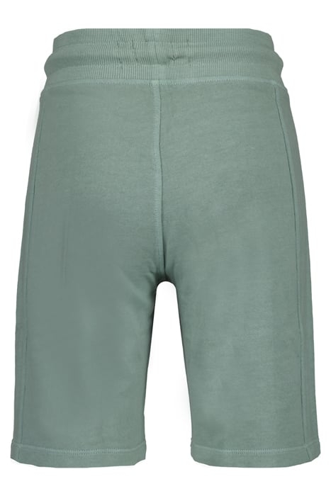 BOYS BRAD SHORTS MINT GREY 2