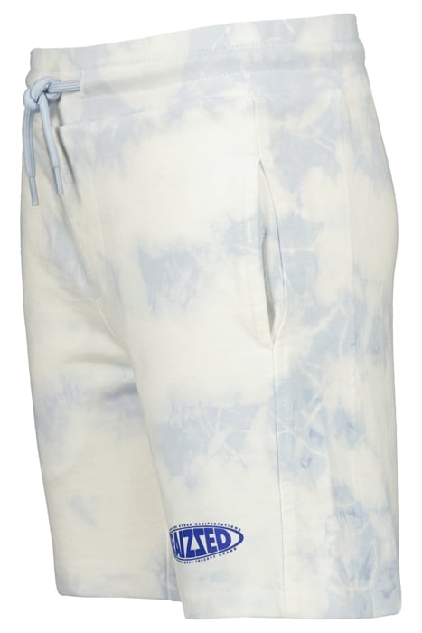 BOYS BAYWOOD SHORTS SUMMER BLUE 5