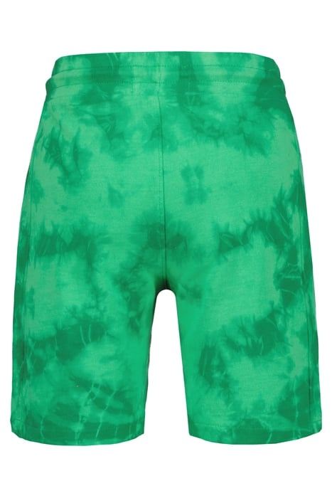 BOYS BRANDON SHORTS GREEN SPORTS 4