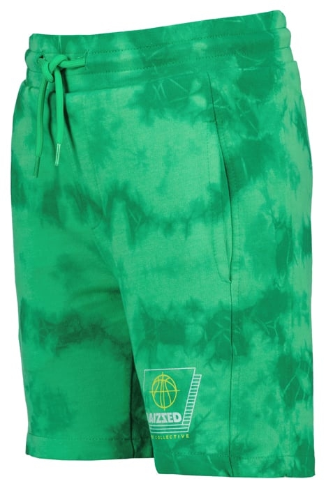BOYS BRANDON SHORTS GREEN SPORTS 5