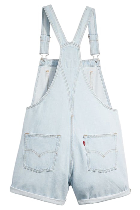 VINTAGE SHORTALL CHANGING EXPECTATIONS 4