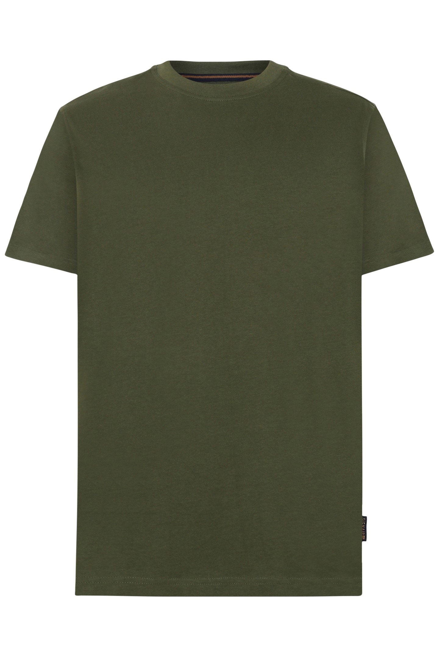 EDDYSI + CYPRESS GREEN 4