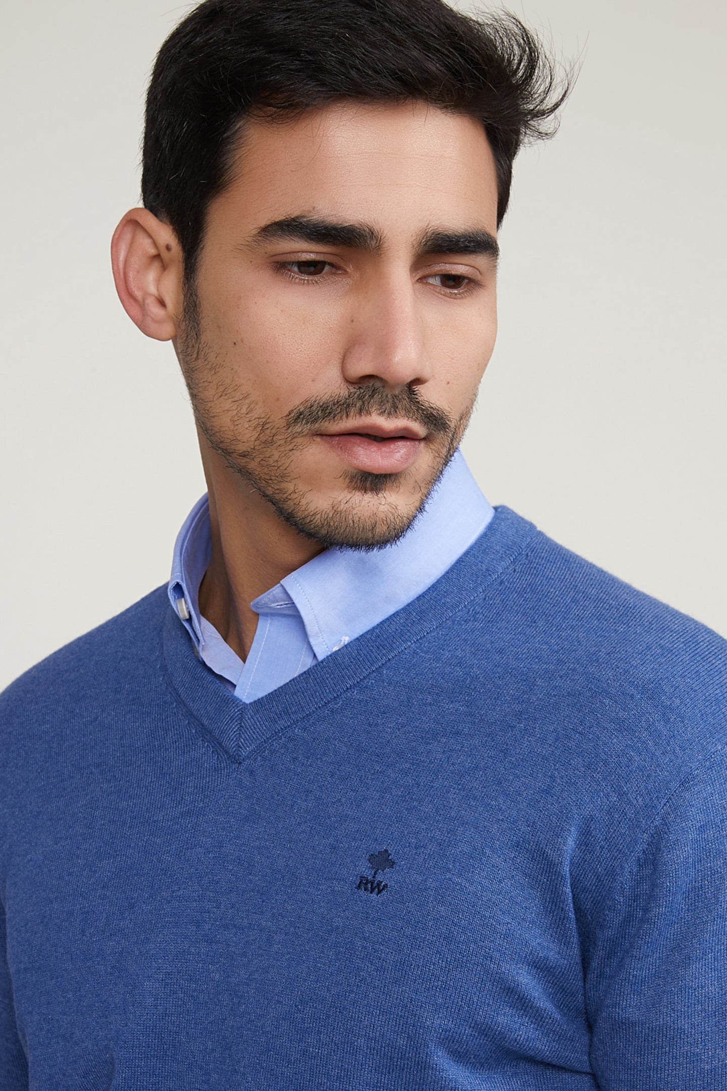 NORMAL FIT BASIC COTTON V-NECK SWEATER WAGON BLUE MIX 4