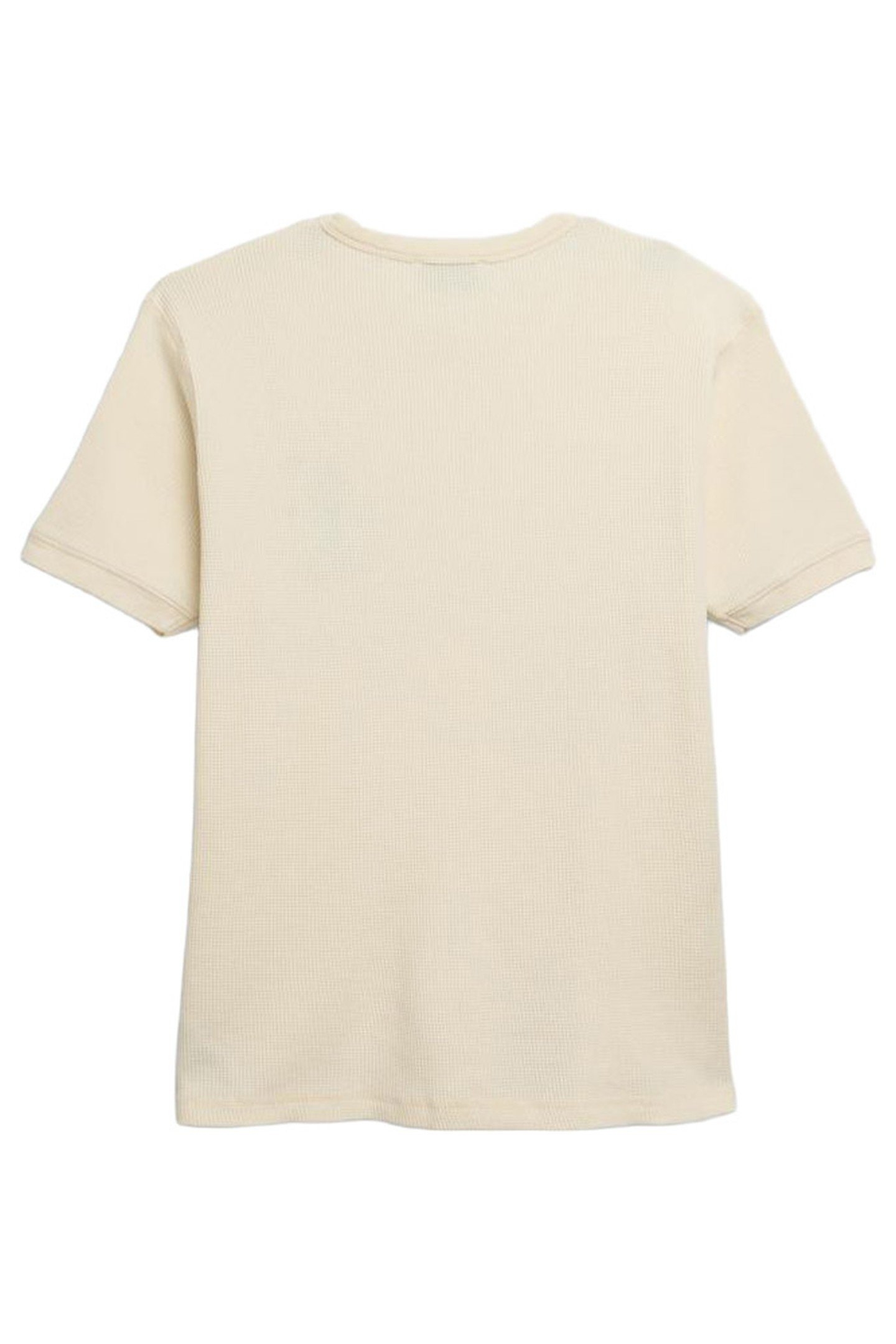 CARNE BOLLENTE – PARIS NIGHT DELIGHTS T-SHIRT 3