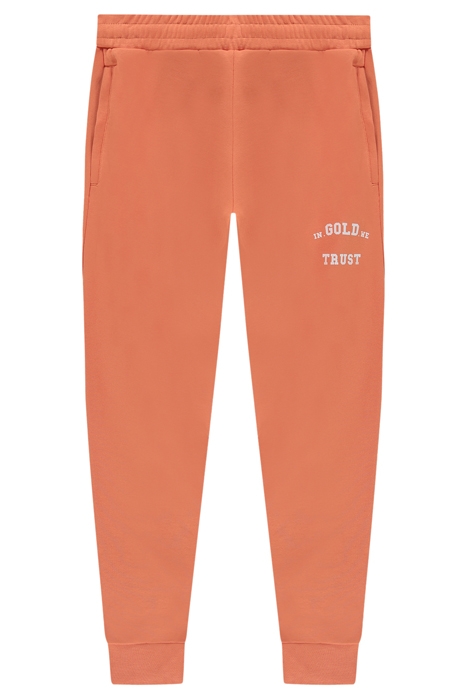 THE ALLIGATOR FLAMINGO 1