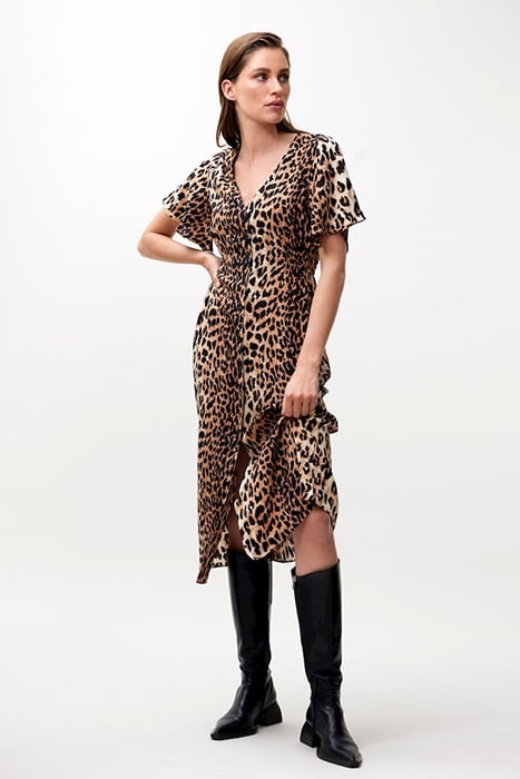 DR LEOPARD MIDI BROWN 1
