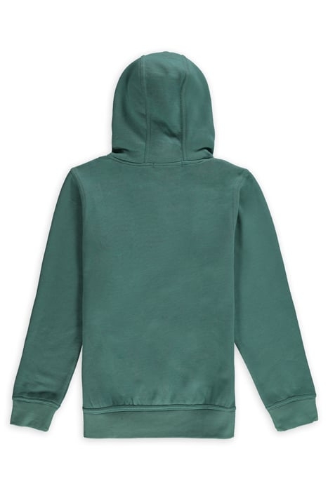 PREMIUM HOODIE BERYL GREEN 2