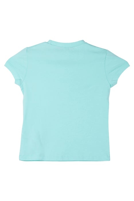 BASIC CREWNECK T-S SS GREEN 2