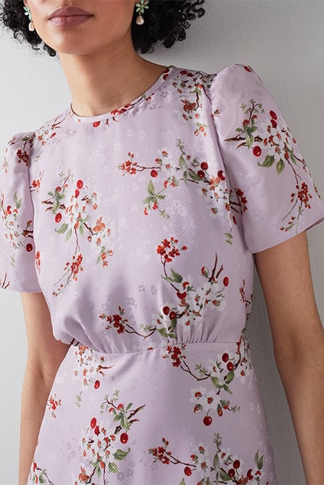 DR BOYD- CHERRY BLOSSOM PURPLE 5