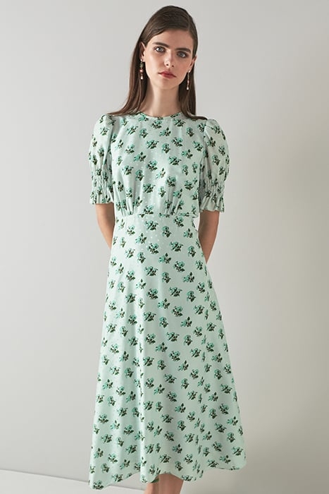 DR TABITHA - PRIMULA PRIN PALE BLUE 1