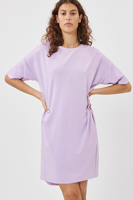 REGITZA 0265 LAVENDULA 1