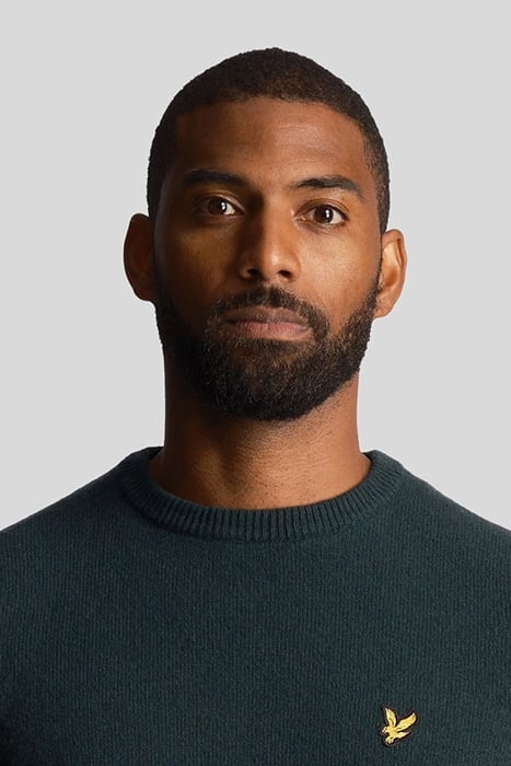 CREW NECK LAMBSWOOL BLEND JUMPER DARK GREEN MARL 5