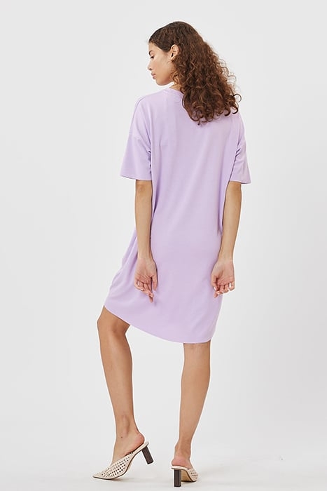 REGITZA 0265 LAVENDULA 3