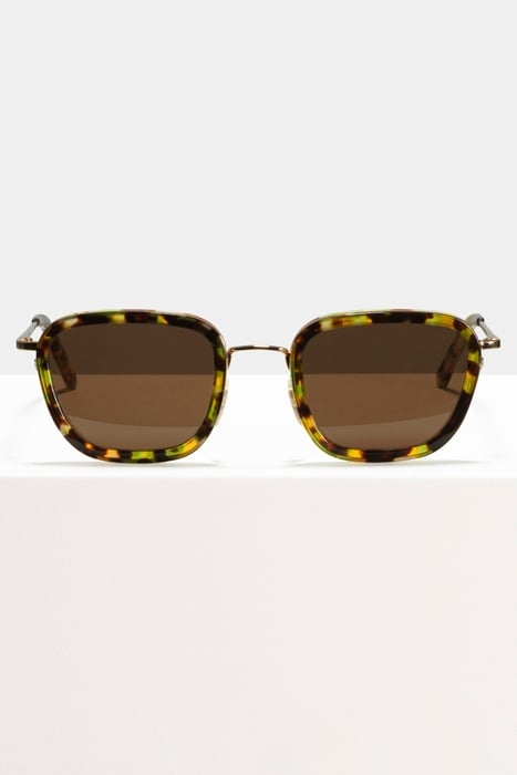 RINGO-CHAMELEON-SUN 1