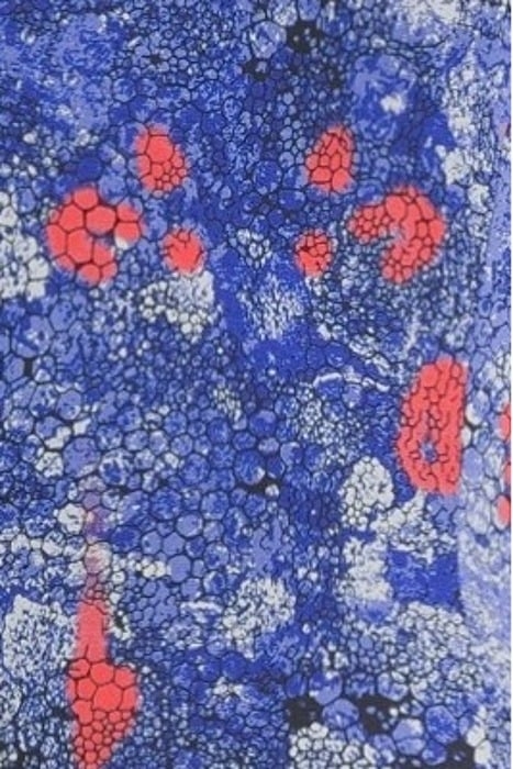 DRESS JERSEY MEDIUM 23001962 BELLWETHER BLUE 5