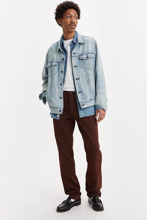 XX TAILORED PANT BROWN 5