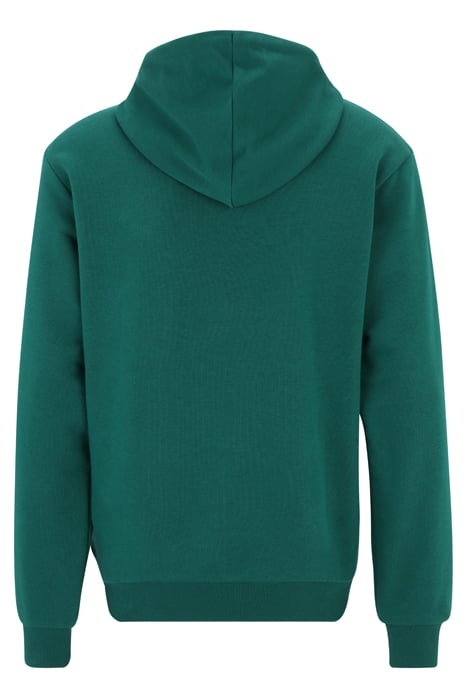BENGEL REGULAR HOODY AVENTURINE 5
