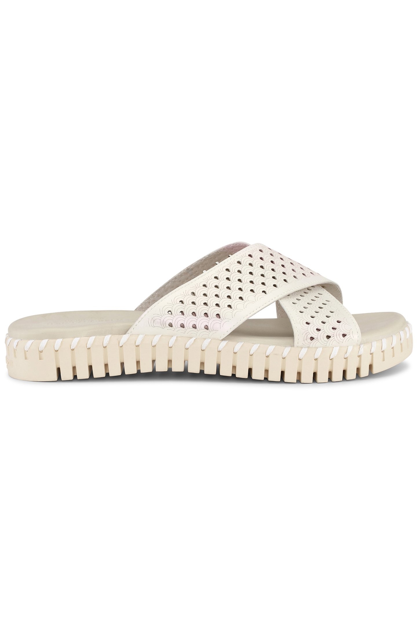 TULIP1575MN WHITECAP 1