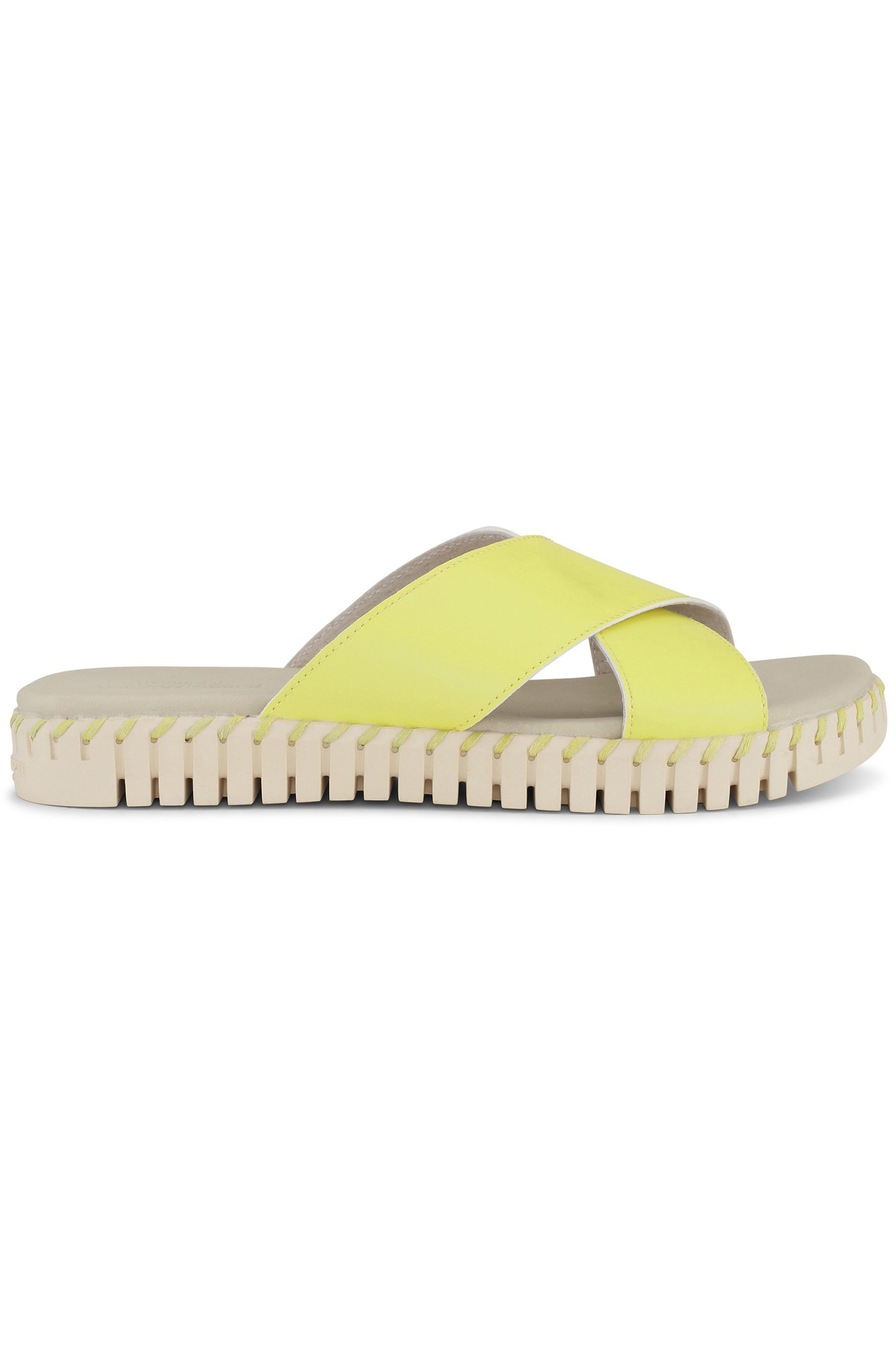 TULIP1578MN SUNBEAM 1