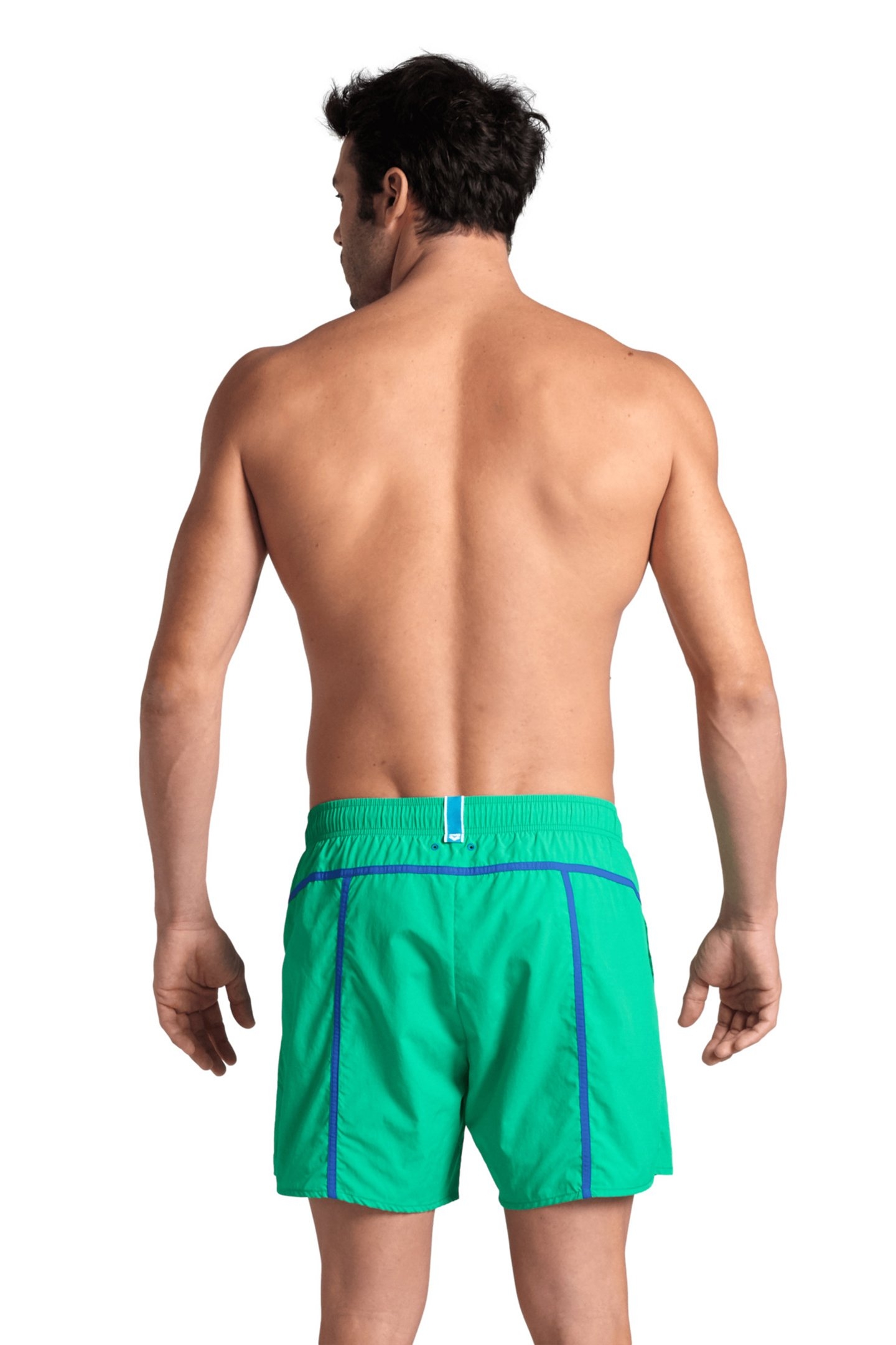 MEN'S ARENA PRO_FILE BEACH L-SHORT GREEN QUARTZ-ROYAL 2
