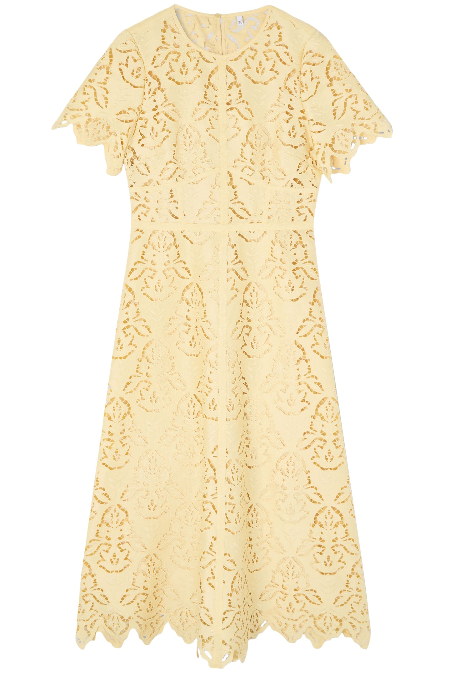 DR GEORGIA EMBROIDERY DR BUTTERCUP 3