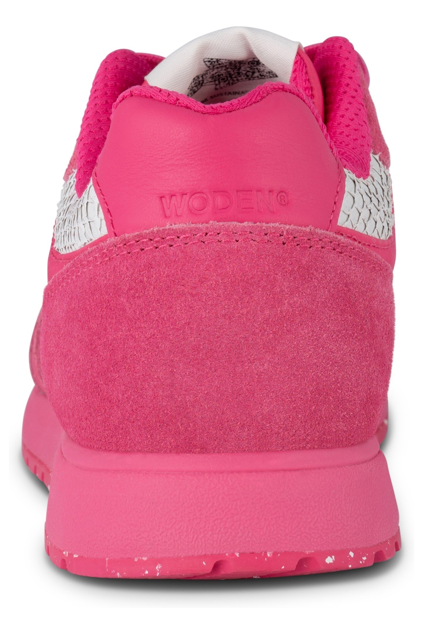 RONJA FRUIT PITAYA 6