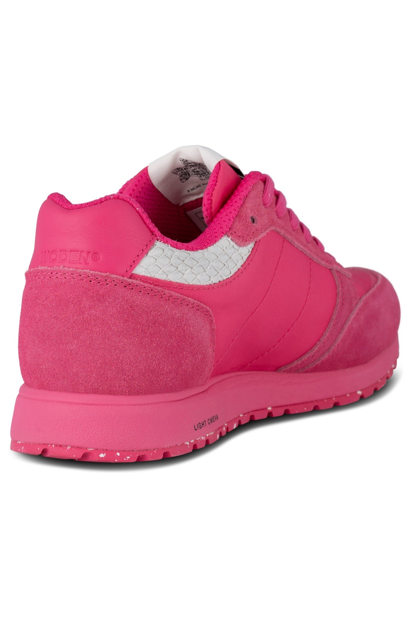 RONJA FRUIT PITAYA 3