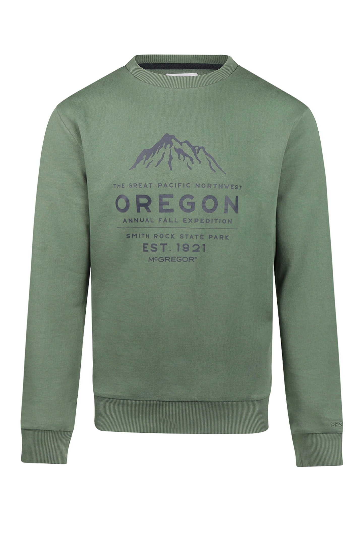 GRAPHIC HOODY MCGREGOR WINTER SAGE 1