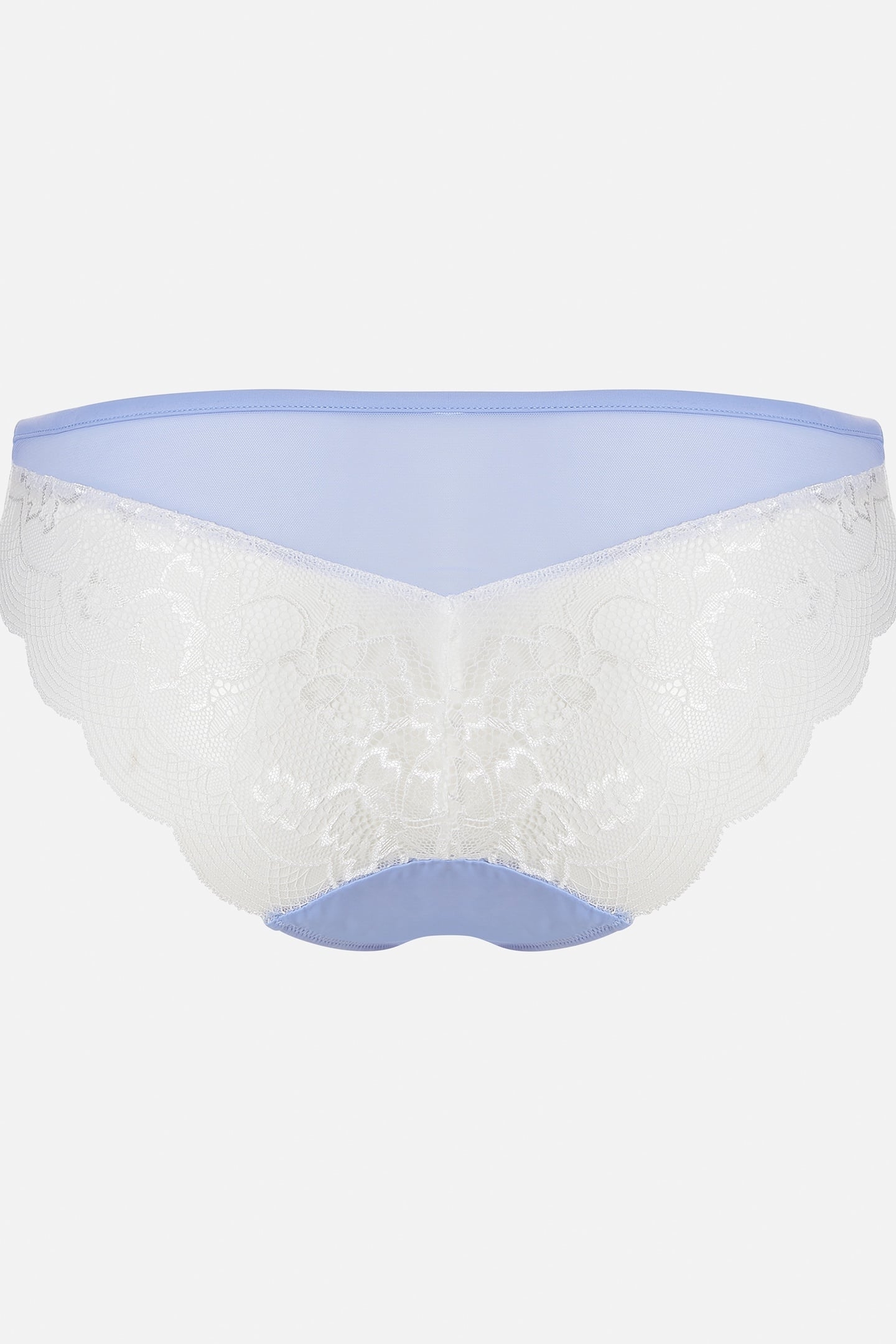 BRIEF REVEALING ENCHANTING LILAC BLUE 1