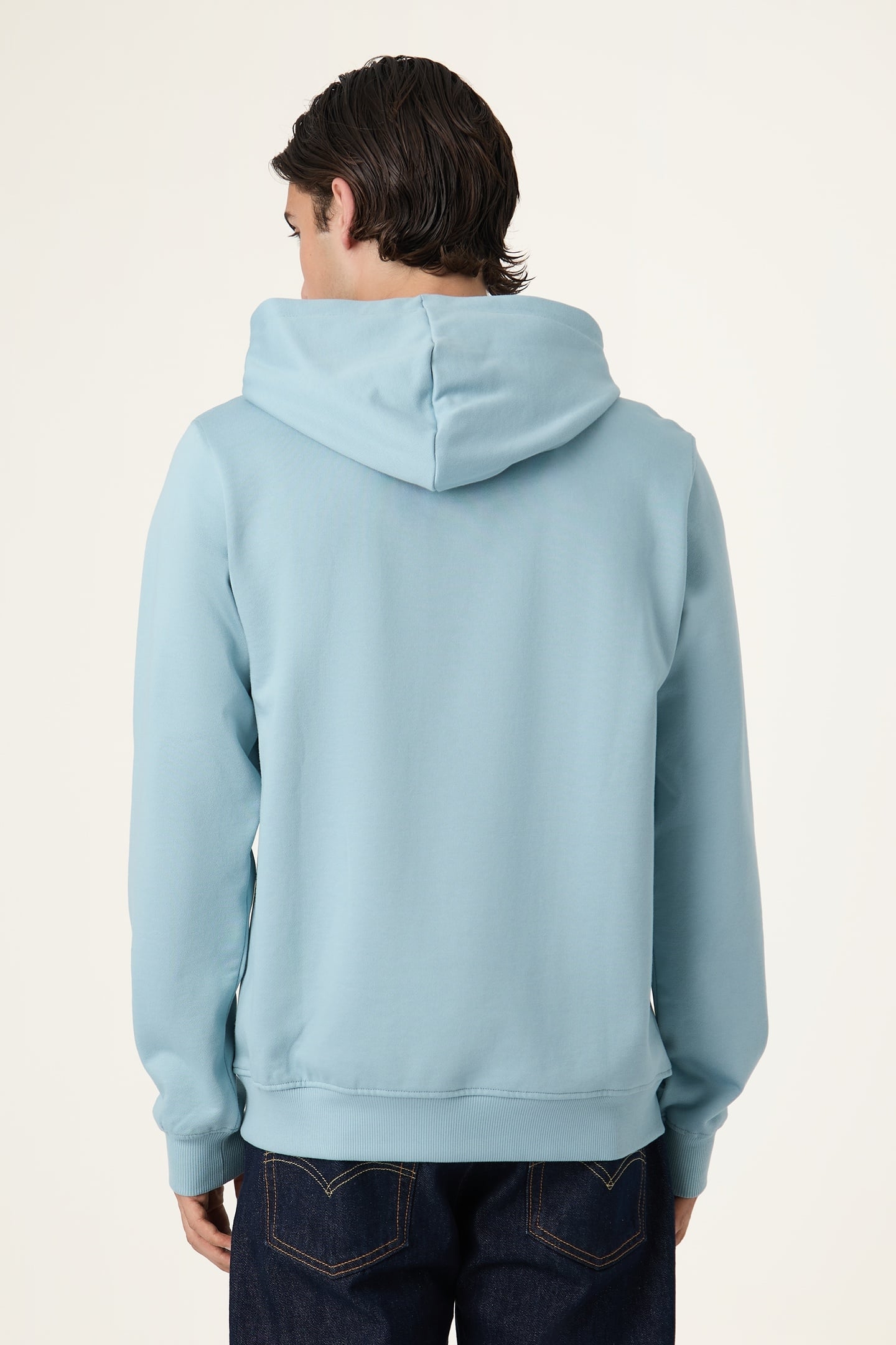 BIELLA REGULAR HOODIE TOURMALINE 3