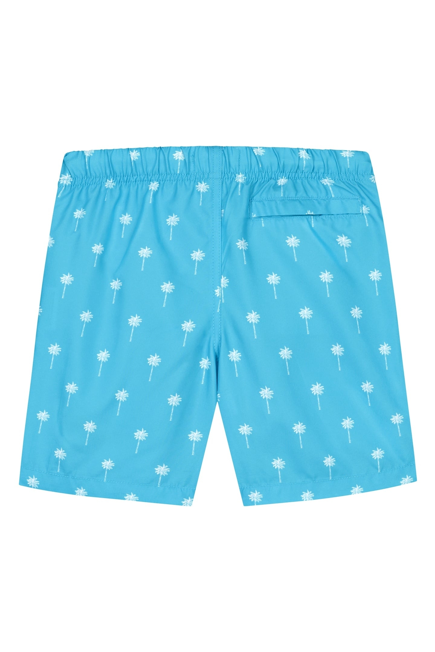 BOYS SWIM SHORTS SHIWI SCRATCH PALM RIVER BLUE 1