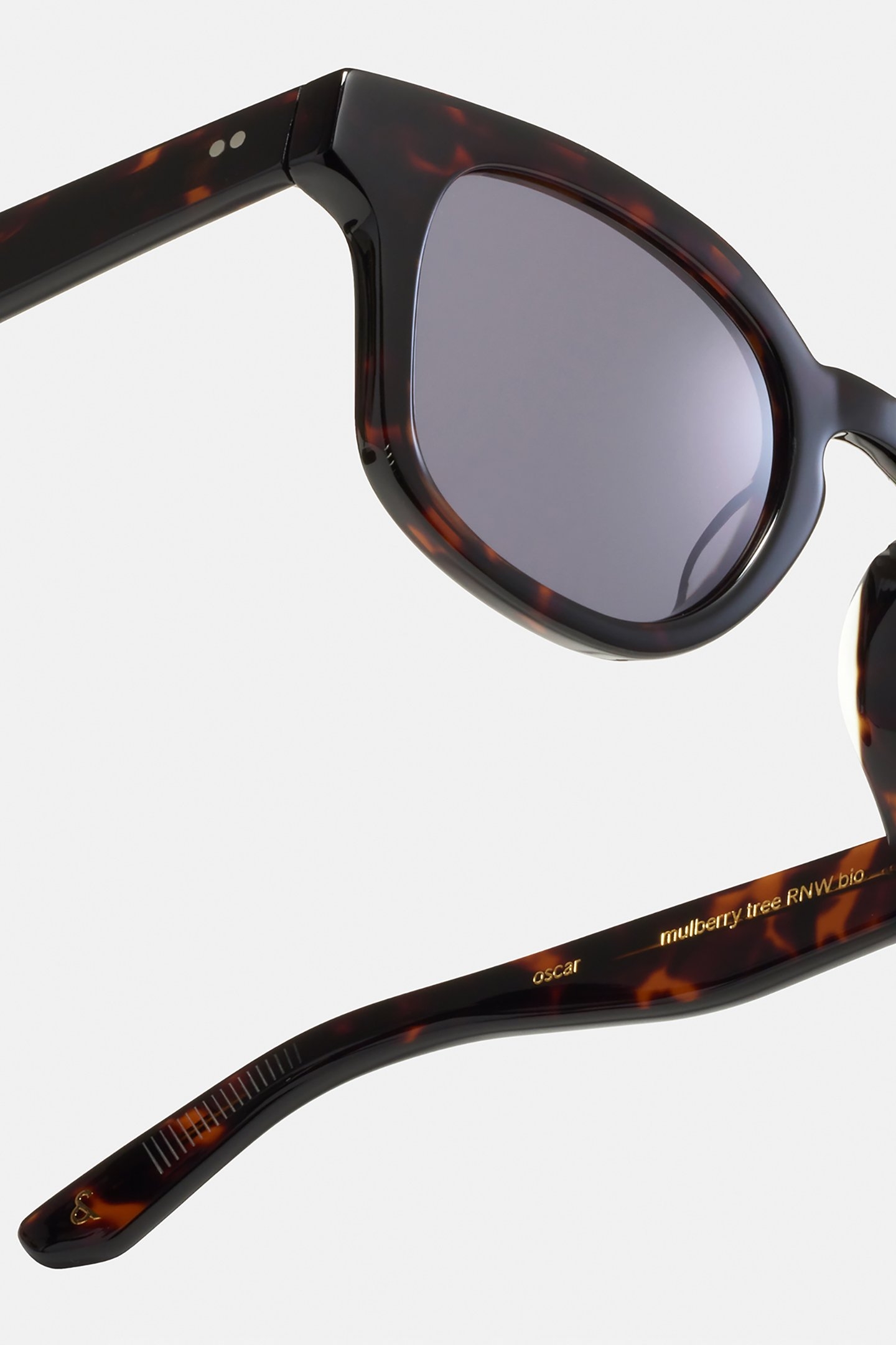 OSCAR-MULBERRY-TREE-SUN 4