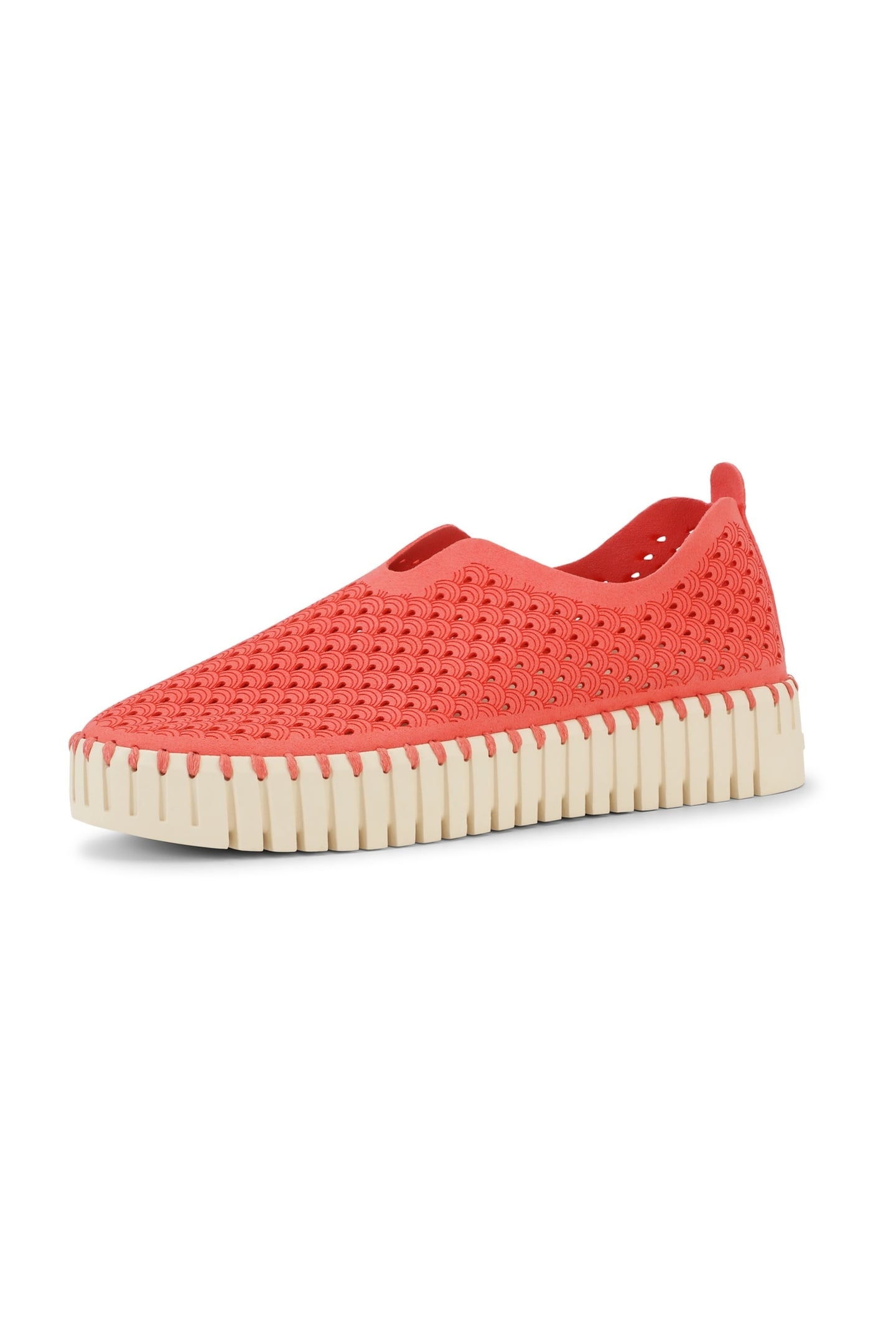 FLATS TULIP3373 RASPBERRY 2