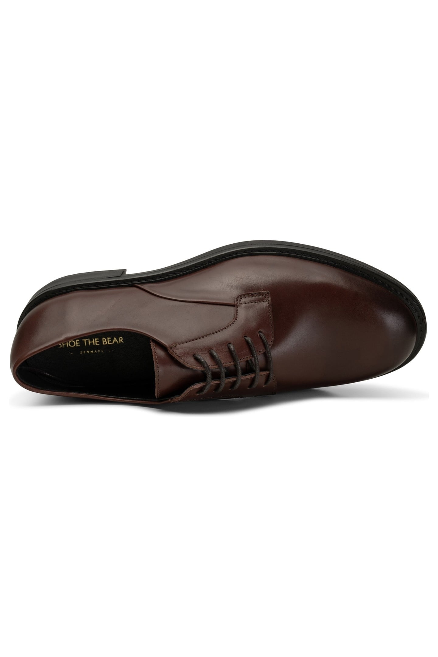 STB-STANLEY DERBY L CHESTNUT 2