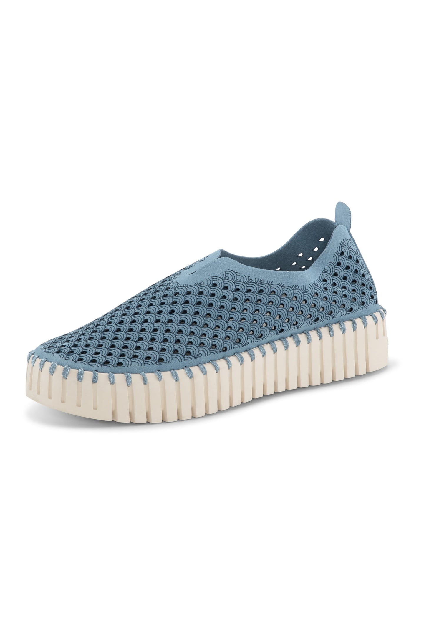 FLATS TULIP3373 BLUE CLOUD 2