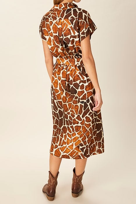 DRESS WITH POLOCOLLAR AND BELT BROWN 3