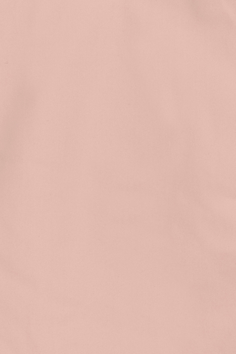 MINI BRIEF PALE PINK 3