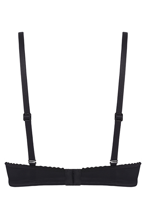 LIONESS OF BRITTANY BLACK AND STONE 5