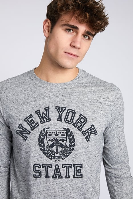 VINT JE LS SF T-SHIRT GREY 5