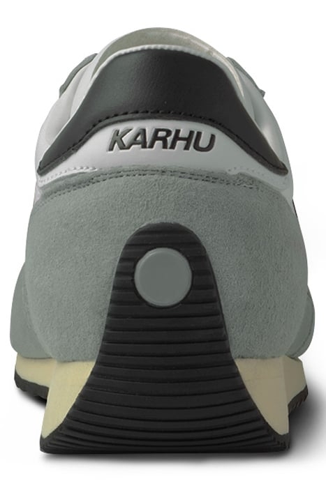 MESTARI-PIGEON/RHUBARP 6