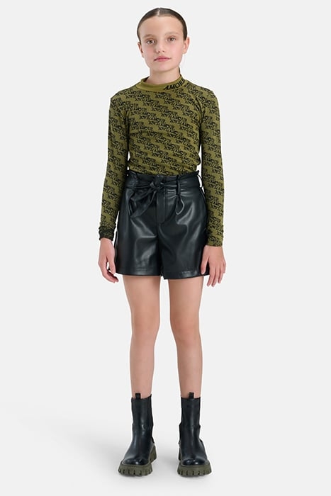 GAA- AMOUR TURTLENECK DARKGREEN 3